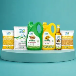 Organic grocery store online shop healthy food