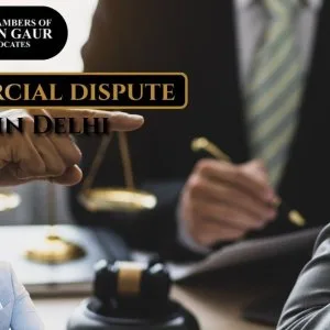 Reliable commercial dispute lawyer in delhi for business litigat