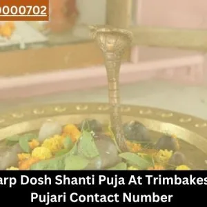 Kaal sarp dosh shanti puja at trimbakeshwar pujari contact nu