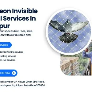 Pigeon invisible grill services in jaipur care