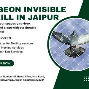 Pigeon invisible grill services in jaipur experts