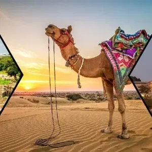 Book rajasthan tour packages online trusted travel experts t