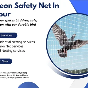Pigeon safety net in jaipur shield