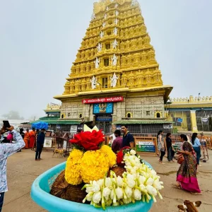 The best mysore tour packages for a memorable trip
