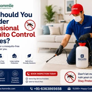 Mosquito control services near me