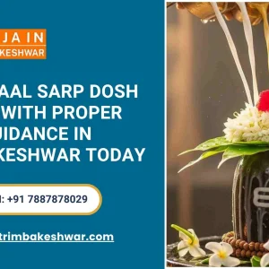 Book kaal sarp dosh vidhi with proper guidance in trimbakeshwar