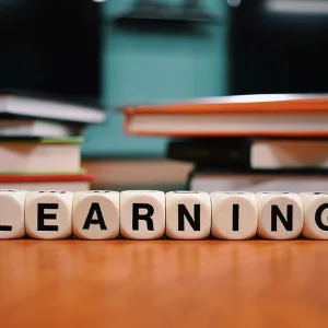 Diploma in elementary education at vidya university meerut