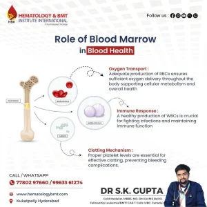 Telehealth for bone marrow transplant patients expert care fro