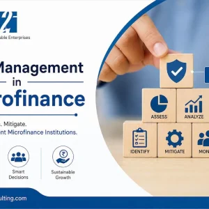 Risk management solutions for microfinance organizations