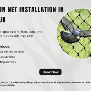 Pigeon net installation in jaipur safe view