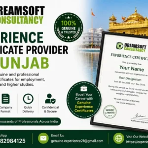 Trusted career documentation provider in punjab