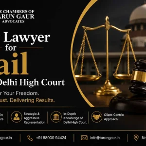Dedicated bail lawyer for delhi high court proceedings
