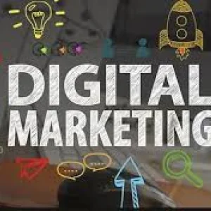 Affordable seo services in delhi ncr for small growing busines