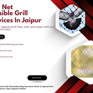 Pigeon net service you can trust