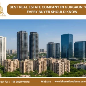 Real estate services