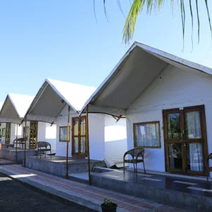 Best glamping tent manufacturer in india