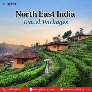 North east india travel packages