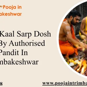 Online kaal sarp dosh puja by authorised pandit in trimbakeshwar