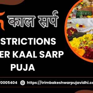 Know kaal sarp dosh nivaran puja rules before booking