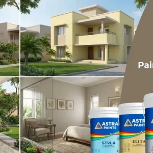 How to choose the best paint for walls a complete guide