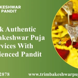 Book authentic trimbakeshwar puja services 