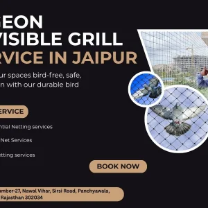 Pigeon invisible grill in jaipur reliable