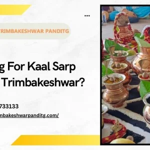 Looking for kaal sarp puja in trimbakeshwar