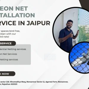 Quality pigeon net installation jaipur