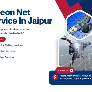 Pigeon net service in jaipur choice