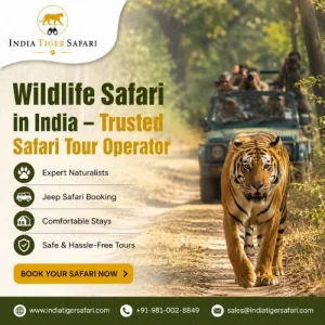 Wildlife safari in india trusted safari tour operator