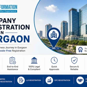 Professional company formation assistance in gurgaon