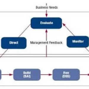 Enterprise it governance compliance cobit consulting 
