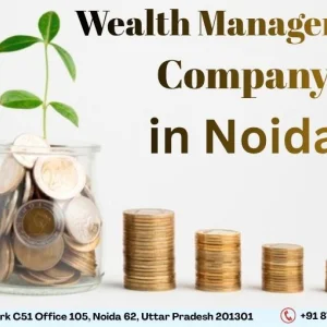 Wealth management company in noida pravix for smart investment
