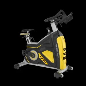 Nb5917 spin bike for home fitness smooth indoor cycling