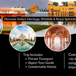 Golden triangle rajasthan tour