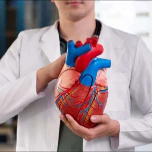 Electrocardiogram ecg test in hyderabad heart health assessm