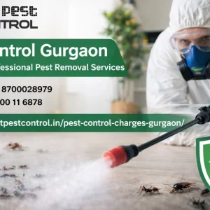 Pest control charges in gurgaon starting at 900 book expert