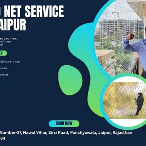 Bird net service in jaipur safe homes