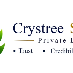 Website development company in trichy