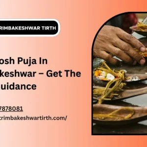 Pitra dosh puja in trimbakeshwar get the right guidance