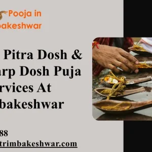 Trusted pitra dosh kaal sarp dosh puja services at trimbak