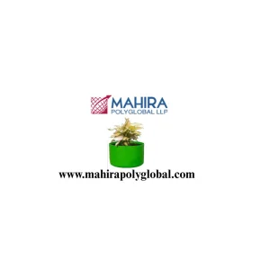 Discover convenient cultivation with modern planter bags