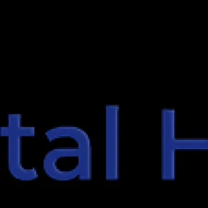 Custom real estate website development services in lucknow