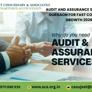 Audit and assurance services in gurgaon for fast corporate
