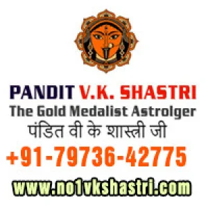 Best astrologer love marriage problems vashikaran mantra kala