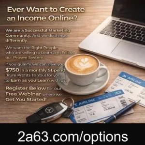 Website business program