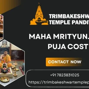 Easy way to book maha mrityunjaya puja in trimbakeshwar