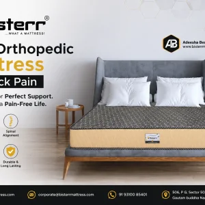 Best orthopedic mattress for back pain bister mattress