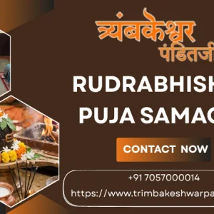 Plan your rudra abhishek and navagraha shanti puja easily