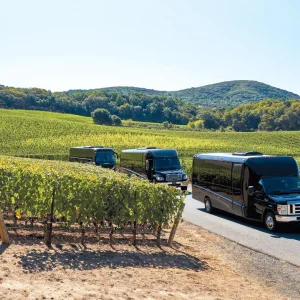 Sonoma party bus rental for comfortable group travel